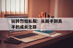 关于玩转烈焰私服：从新手到高手的成长之路的信息