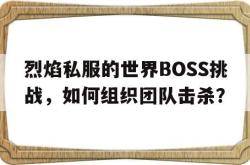 关于烈焰私服的世界BOSS挑战，如何组织团队击杀？的信息