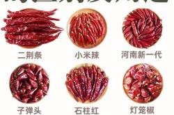 小物件大用途：让你惊讶的日常物品新用法