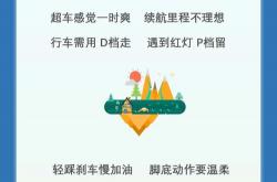 如何有效减少塑料污染：环保生活小窍门