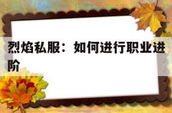 关于烈焰私服：如何进行职业进阶的信息